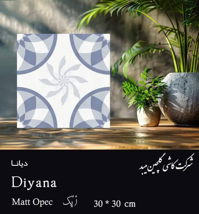 کاشی و سرامیک درانواع مختلف خاک قرمز خاک سفید و پرسلانی در سایزها ولعاب های متنوع