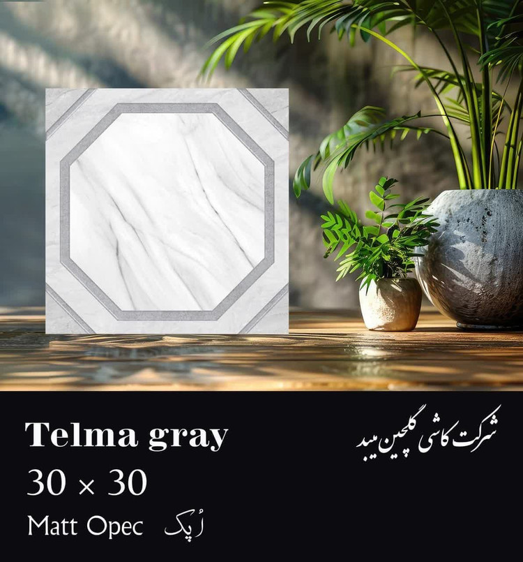 کاشی و سرامیک درانواع مختلف خاک قرمز خاک سفید و پرسلانی در سایزها ولعاب های متنوع